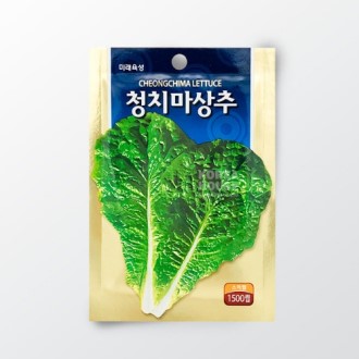 ûġ������/�����ٵ�� Ű���