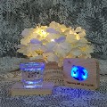 LED �� �Ź�ħ ����ڽ���