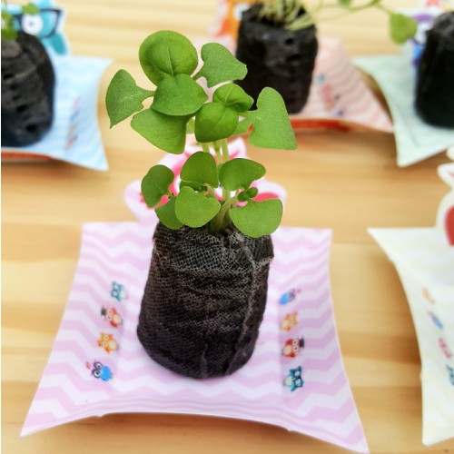 ������ ��Ʈ ����